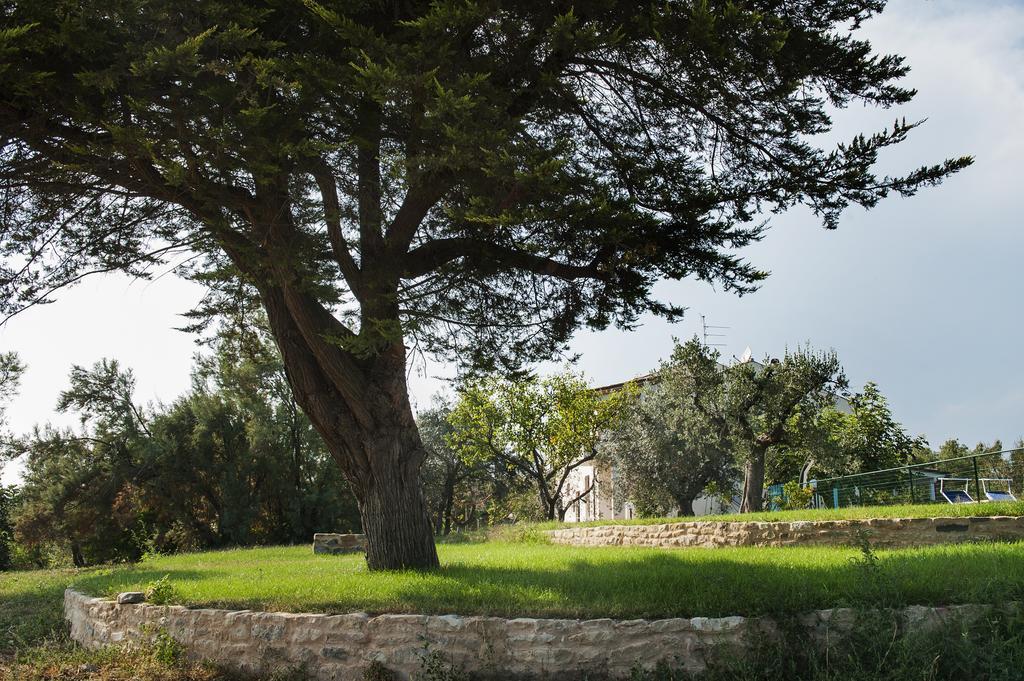 Villa Marchetti クプラ・マリッティマ エクステリア 写真