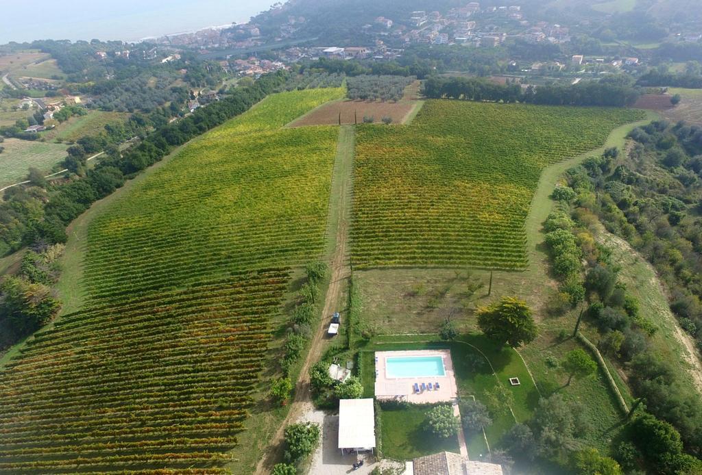 Villa Marchetti クプラ・マリッティマ エクステリア 写真